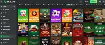 Discovering the Thrills of Online Gaming with BC.Game Africa